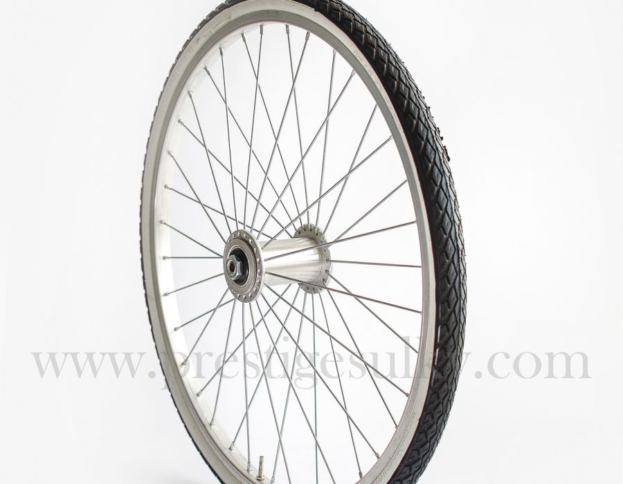 ruota sulky 24"tradizionale