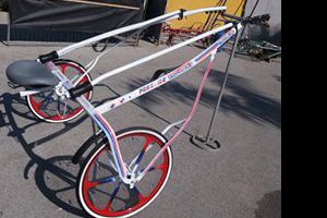 SULKY MINITROTTER CON ASTE IN CARBONIO