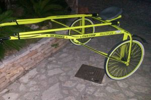 SULKY MINITROTTER CON STE IN LEGNO AD S